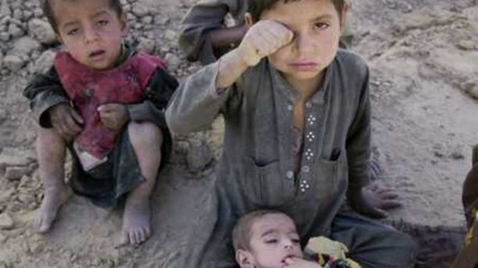阿富汗成为儿童坟场