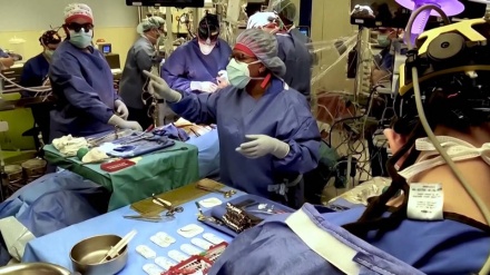 Transplanti me sukses i zemrës së derrit në trupin e njeriut