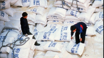 联合国世界粮食计划署暂停疫情之下对朝鲜提供援助