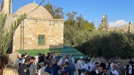 Decine di coloni invadono la moschea di al-Aqsa sotto la sorveglianza della polizia del regime occupante 