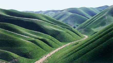دشت ناور یکی از هزاران مناظر بکر افغانستان