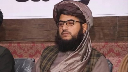 طالبان فرمانده ازبک تبار خود را به آدم ربایی متهم کرد