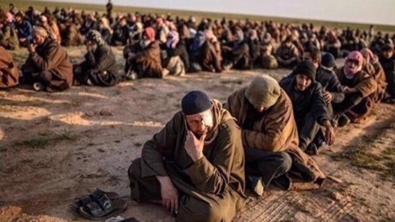  Report: 750 Daesh terrorists relocated in Syria under US air cover 