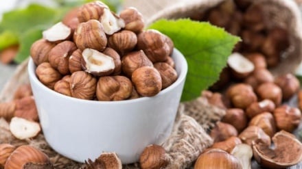 معجزه فندق برای درمان سرفه کودکان