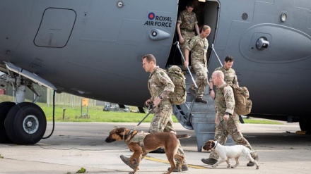 英が、アフガン国民より犬猫の救出を優先