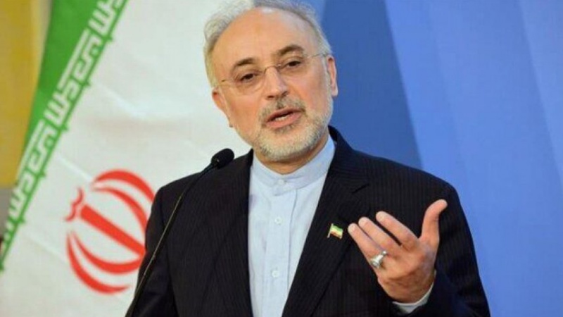 סאלחי: החלל סולימאני, מפקד צבאי ופוליטקאי משכיל