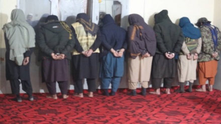 بازداشت هشت طالب مسلح در ولایت ننگرهار 