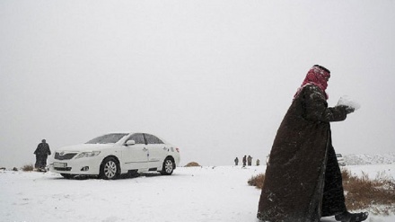 サウジ中西部で珍しい降雪、砂丘が雪化粧　　　　　　　　　　　　　　　