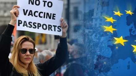 Protestuesit shkatërrojnë zyrën e BE-së në Bruksel