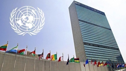 联合国对沙特联军袭击萨那表示关切