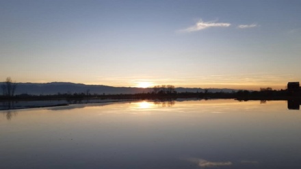 ای یوسف خوشنام ما