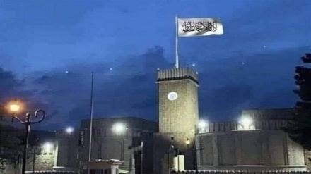 Толибон ҳаракати  халқаро донорларга қўшма қўмита ташкил қилишни таклиф қилмоқда