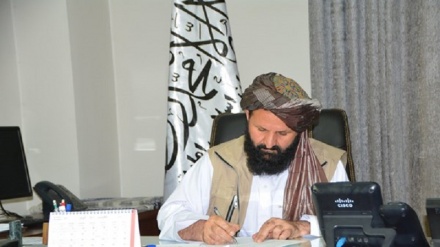 کمیسیون تصفیه طالبان: بیش از 4 هزار نفر از صفوف طالبان اخراج شدند