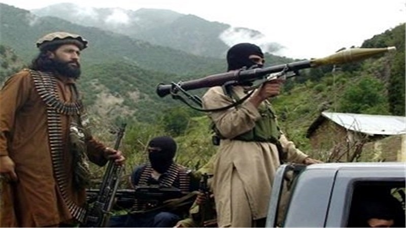 پاکستان برخورد طالبان افغان با طالبان پاکستان را خواستار شد