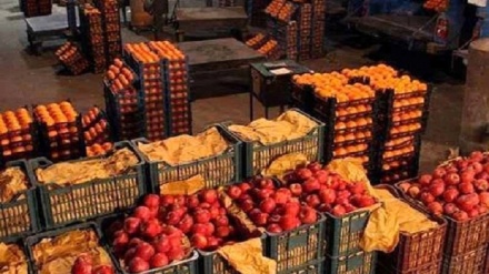 伊朗农产品创汇60亿美元