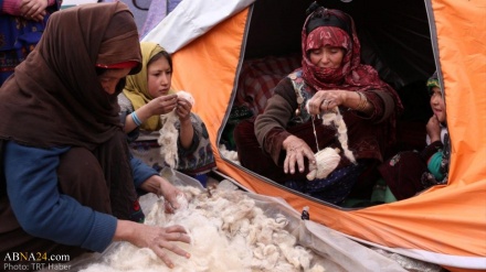 Kushtet e vështira të jetesës së refugjatëve afganë në Herat të Afganistanit