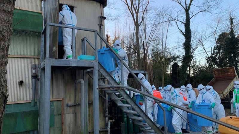 千葉・八街の養鶏場での鳥インフルエンザ