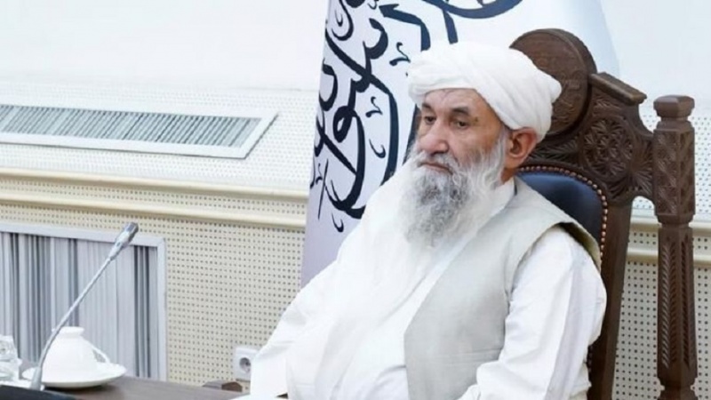 Taliban fordern islamische Länder auf, Regierung in Afghanistan anzuerkennen