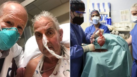 Primo trapianto con cuore di maiale geneticamente modificato