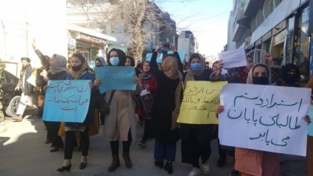 زنان معترض در کابل خواهان مشارکت سیاسی در حکومت شدند