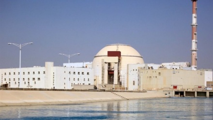 伊朗布什尔核电站再次开始发电