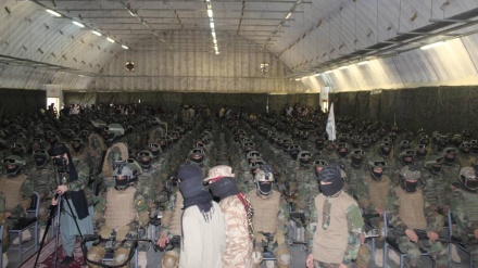 صدها نیروی طالبان در ولایت سمنگان مستقر می شوند