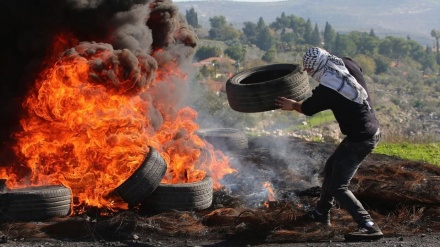 Me dhjetëra palestinezë plagosen nga forcat sioniste 