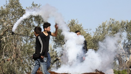  Scores of Palestinians injured by Israeli regime in West Bank 