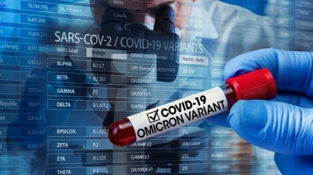 科技研究显示 Omicron对肺部损害较少