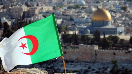 L'Algérie réarmera Gaza?