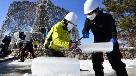 大寒の神戸・六甲山で、夏の「天然の冷房」に池の氷を切り出し