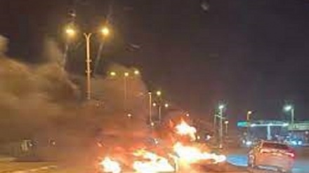 שלטונות ישראל עצרו 13 מפגינים נגד הנטיעות בנגב