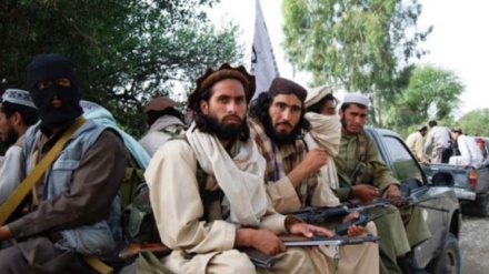 سفر پنهانی نمایندگان حکومت اسلام آباد به افغانستان برای دیدار با تحریک طالبان پاکستانی