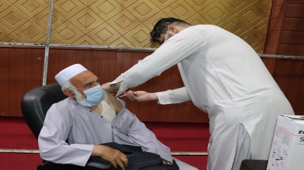 تزریق واکسن کرونا در هرات از سرگرفته شد
