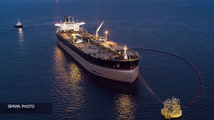 Iran being paid for crude exports, shipments rising: NIOC chief