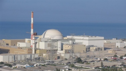 布什尔核电站维修结束