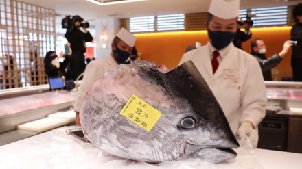 東京・豊洲市場で、マグロの初競りが実施