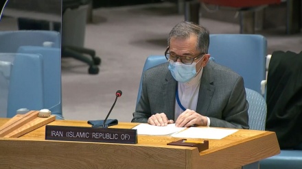 塔赫特·拉万希：尽管受到制裁，伊朗在保护女权方面取得了重大进步