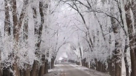 中国西部・新疆ウイグル自治区に広がる雪景色