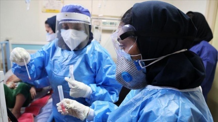在过去24小时内，34名伊朗人染疫身亡