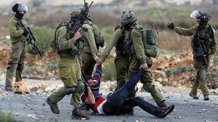 犹太复国主义政权士兵在西岸抓捕6名巴勒斯坦人