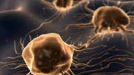 Tumori: 'interruttori' di Rna risvegliano le difese immunitarie 
