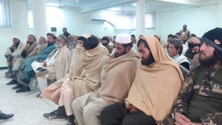 تسلیم 70 عضو داعش به مقامات طالبان در ولایت ننگرهار