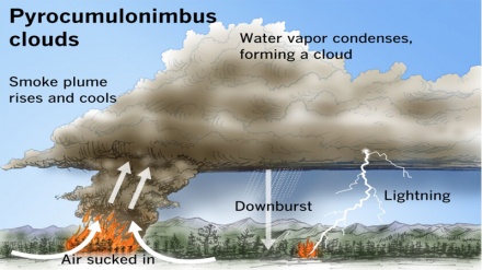 Mengenali Pyrocumulus atau Awan Api