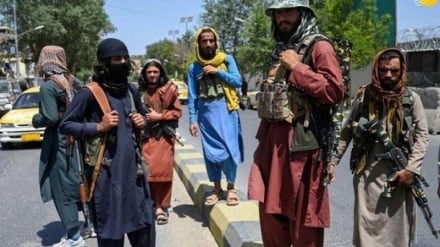 سه تن از نیروهای داعش در درگیری با طالبان کشته شدند