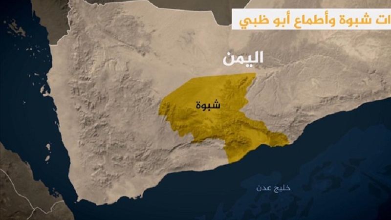 达易沙恐怖分子和隶属阿联酋的雇佣军在也门南部造成重大伤亡