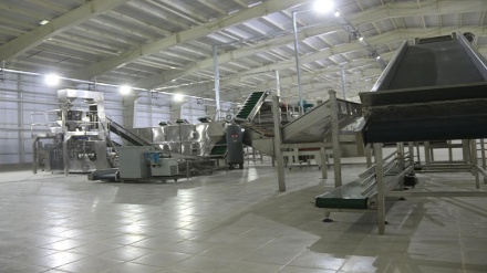 نیمی از کارخانه‌های تولیدی در افغانستان تعطیل است
