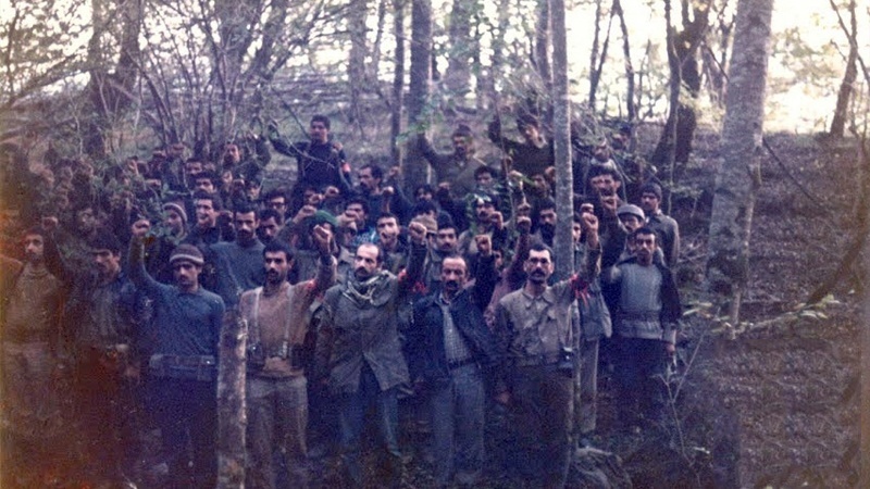 تاریخ پاڼه 