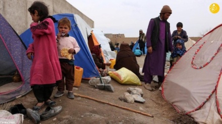 Sanctions impeding Iran’s ability to assist Afghan refugees: Envoy