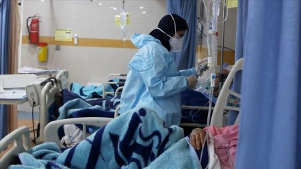 在过去24小时内，25名伊朗人染疫身亡